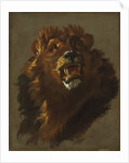 Lion, 1750s by Giuseppe Baldrighi