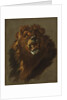 Lion, 1750s by Giuseppe Baldrighi