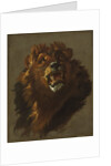 Lion, 1750s by Giuseppe Baldrighi