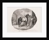 Lithographed Studies of Horses: Pl. 7, Horse from the Caen Plain, 1822 by Théodore Géricault; Gihaut