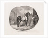 Lithographed Studies of Horses: Pl. 7, Horse from the Caen Plain, 1822 by Théodore Géricault; Gihaut