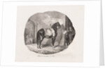 Lithographed Studies of Horses: Pl. 7, Horse from the Caen Plain, 1822 by Théodore Géricault; Gihaut