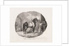 Lithographed Studies of Horses: Pl. 7, Horse from the Caen Plain, 1822 by Théodore Géricault; Gihaut