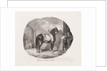 Lithographed Studies of Horses: Pl. 7, Horse from the Caen Plain, 1822 by Théodore Géricault; Gihaut