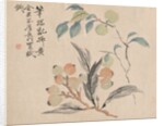 Loquat Tree of Japan by Tsubaki Chinzan