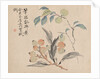 Loquat Tree of Japan by Tsubaki Chinzan
