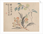 Loquat Tree of Japan by Tsubaki Chinzan