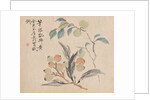 Loquat Tree of Japan by Tsubaki Chinzan