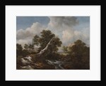 Low Waterfall in a Wooded Landscape with a Dead Beech Tree, c. 1660-1670 by Jacob van Ruisdael