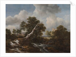Low Waterfall in a Wooded Landscape with a Dead Beech Tree, c. 1660-1670 by Jacob van Ruisdael