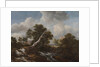 Low Waterfall in a Wooded Landscape with a Dead Beech Tree, c. 1660-1670 by Jacob van Ruisdael