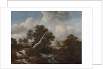 Low Waterfall in a Wooded Landscape with a Dead Beech Tree, c. 1660-1670 by Jacob van Ruisdael