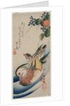 Mandarin Ducks and Flowering Plants, early or mid-1830s by Ando Hiroshige