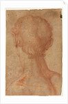 Man's Head from the Back by Unknown