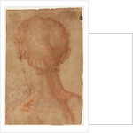 Man's Head from the Back by Unknown