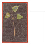 Markandeya Viewing Krishna in the Cosmic Ocean, c. 1680 by Unknown