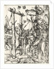 Martyrdom of St. Simeon, c. 1510/15 by Lucas Cranach