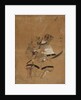 Minemotto Tametomo in Armor, 1615-1868 by Unknown