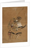 Minemotto Tametomo in Armor, 1615-1868 by Unknown