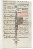 Missale: Fol. 183: Foliage decoration, 1469 by Bartolommeo Caporali