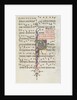 Missale: Fol. 183: Foliage decoration, 1469 by Bartolommeo Caporali