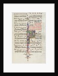 Missale: Fol. 183: Foliage decoration, 1469 by Bartolommeo Caporali