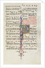 Missale: Fol. 183: Foliage decoration, 1469 by Bartolommeo Caporali