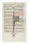 Missale: Fol. 183: Foliage decoration, 1469 by Bartolommeo Caporali