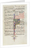 Missale: Fol. 183: Foliage decoration, 1469 by Bartolommeo Caporali