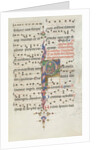Missale: Fol. 183: Foliage decoration, 1469 by Bartolommeo Caporali