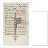 Missale: Fol. 183: Foliage decoration, 1469 by Bartolommeo Caporali