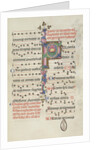 Missale: Fol. 184: Foliage, 1469 by Bartolommeo Caporali