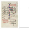 Missale: Fol. 184: Foliage, 1469 by Bartolommeo Caporali