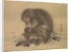 Monkeys, late 18th-early 19th century by Mori Sosen