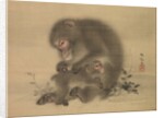 Monkeys, late 18th-early 19th century by Mori Sosen