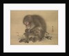 Monkeys, late 18th-early 19th century by Mori Sosen