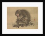 Monkeys, late 18th-early 19th century by Mori Sosen
