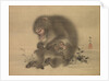 Monkeys, late 18th-early 19th century by Mori Sosen