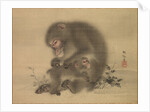Monkeys, late 18th-early 19th century by Mori Sosen