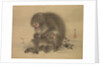 Monkeys, late 18th-early 19th century by Mori Sosen