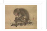Monkeys, late 18th-early 19th century by Mori Sosen