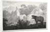 Mountainous Landscape with Bear in the Foreground by Maximilian Josef Wagenbauer