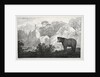 Mountainous Landscape with Bear in the Foreground by Maximilian Josef Wagenbauer