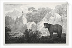 Mountainous Landscape with Bear in the Foreground by Maximilian Josef Wagenbauer
