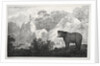 Mountainous Landscape with Bear in the Foreground by Maximilian Josef Wagenbauer