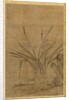 Narcissus and Rocks, 1368-1644 by Lu Tianru