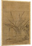 Narcissus and Rocks, 1368-1644 by Lu Tianru