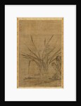 Narcissus and Rocks, 1368-1644 by Lu Tianru