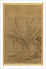Narcissus and Rocks, 1368-1644 by Lu Tianru