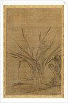 Narcissus and Rocks, 1368-1644 by Lu Tianru